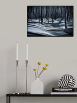 Sous-bois en hiver Poster och Canvastavla