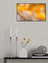 Fragility and lightness... Poster och Canvastavla