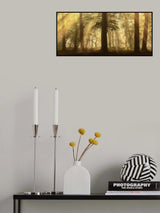 a shower of sunrays Poster och Canvastavla