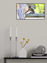 Monkey Poster och Canvastavla