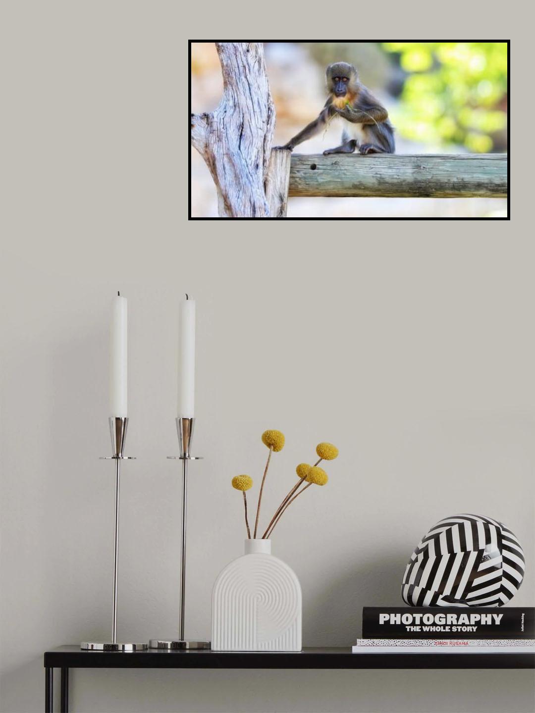 Monkey Poster och Canvastavla
