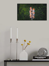 The house of the forest Poster och Canvastavla