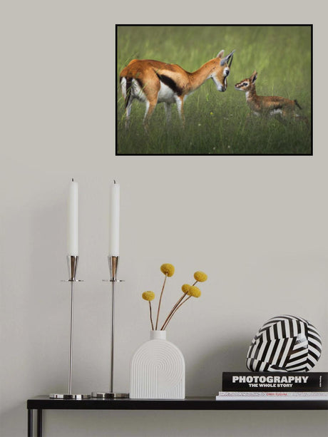 Eye Contact Poster och Canvastavla