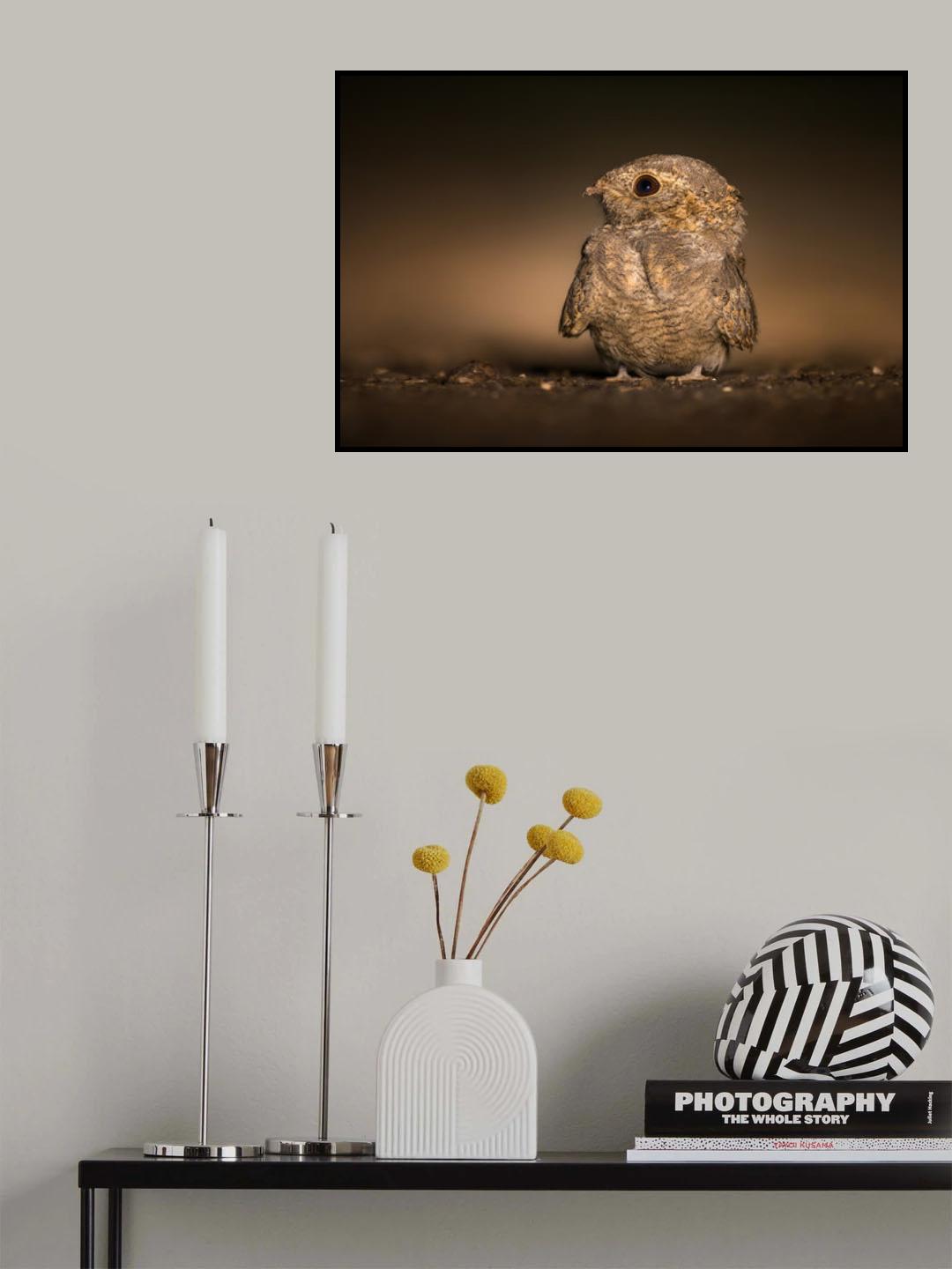 I'm Cute Yes or No ? Poster och Canvastavla