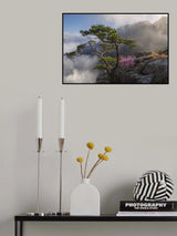Dream dancer Poster och Canvastavla