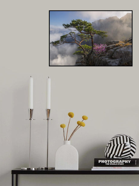Dream dancer Poster och Canvastavla