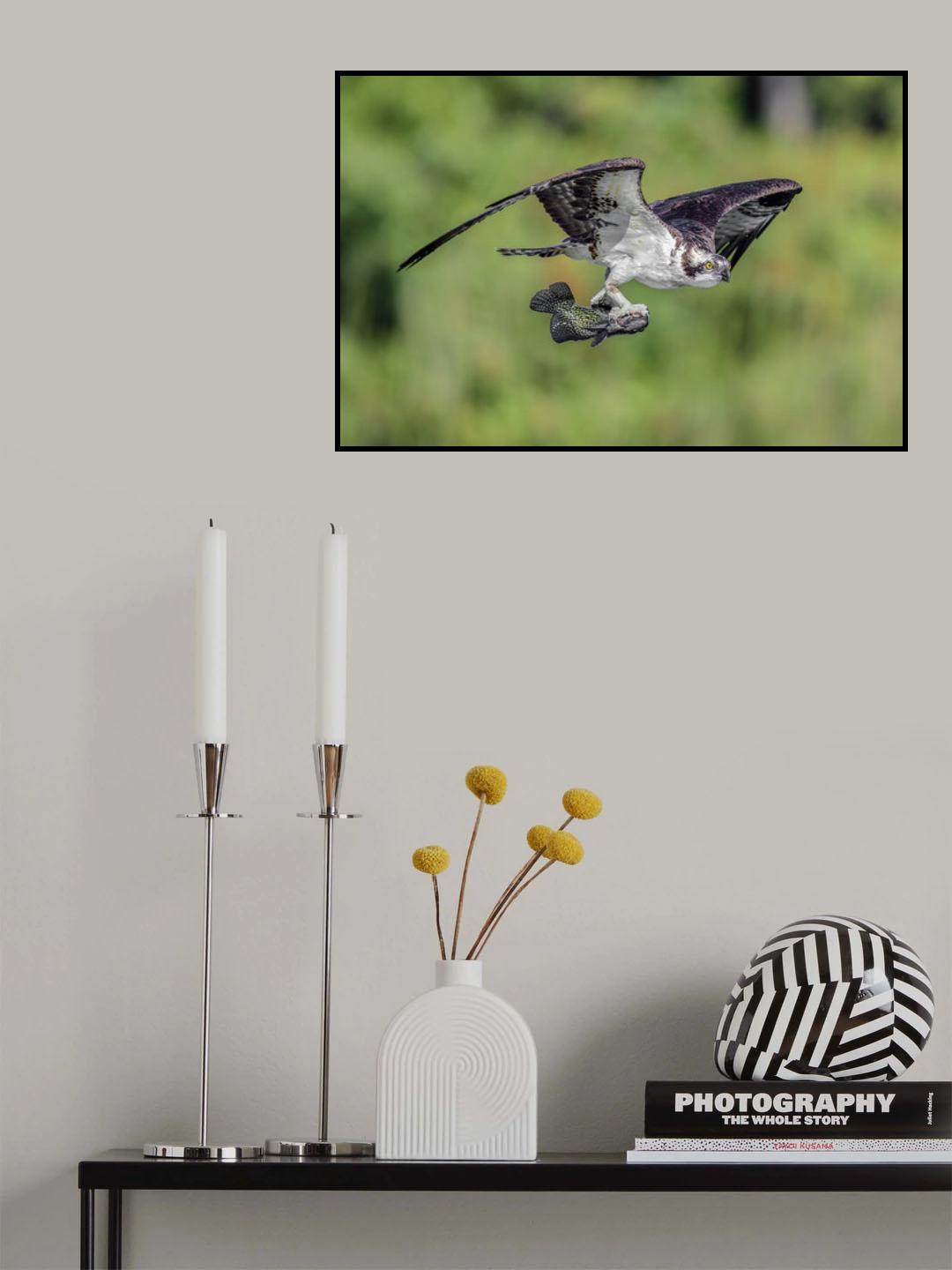 Poster och Canvastavla
