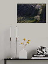 Moravia 15 Poster och Canvastavla