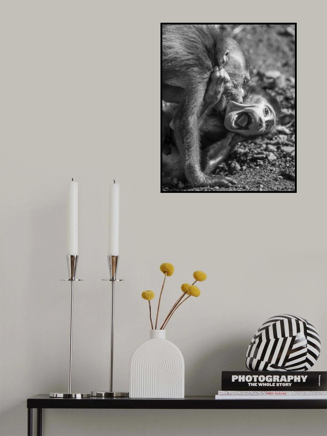 Monkye Hieraki in use Poster och Canvastavla