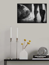Fragile Poster och Canvastavla