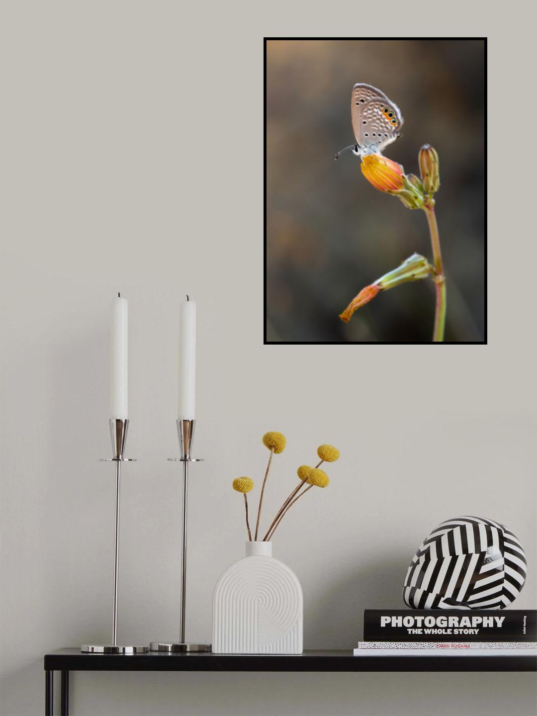 On the yellow flower Poster och Canvastavla