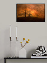 Mysterious Morning... Poster och Canvastavla