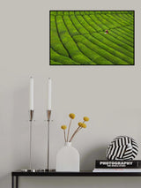 Tea Garden Poster och Canvastavla