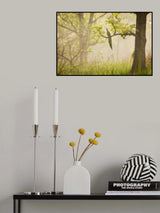 Peacock Poster och Canvastavla