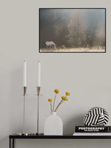 A frosty new day Poster och Canvastavla