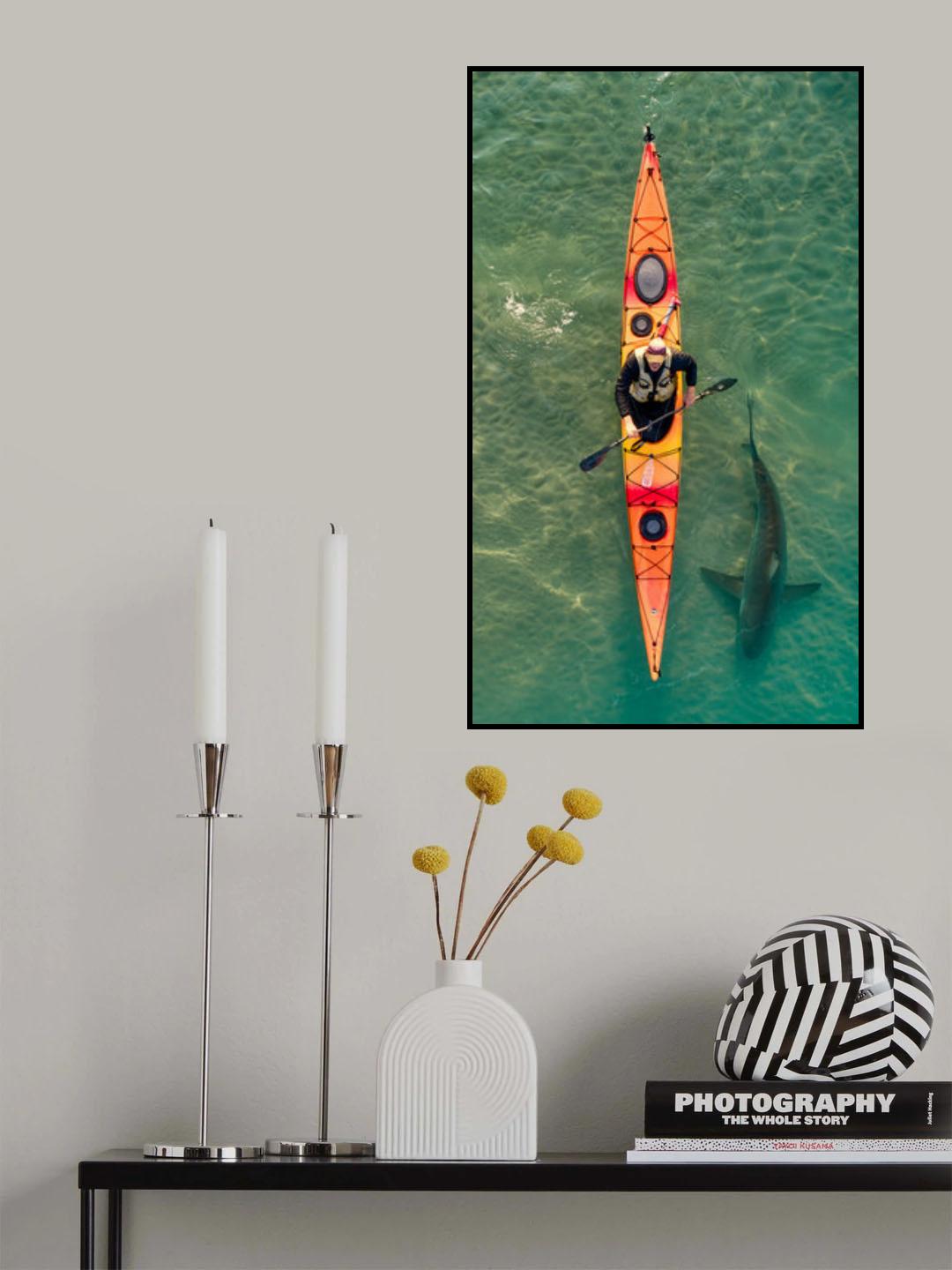 Intimate shark encounter Poster och Canvastavla