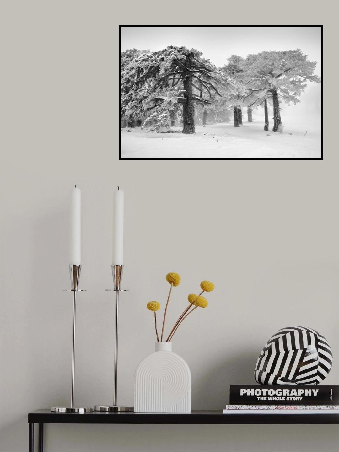Let it Snow 03 Poster och Canvastavla