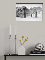 Let it Snow 03 Poster och Canvastavla