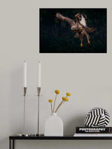 Coming out of the forest Poster och Canvastavla