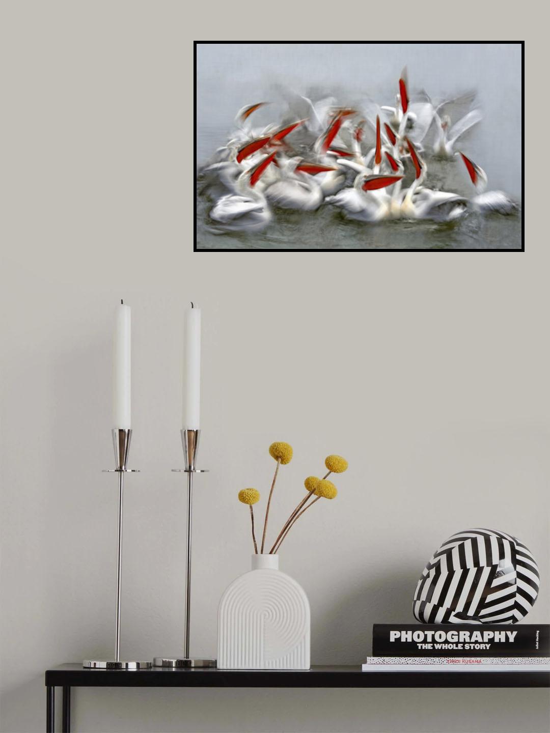 Pelicans in motion blur Poster och Canvastavla