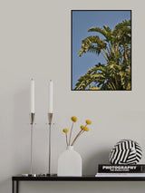 palm trees Poster och Canvastavla