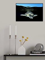 Surface Poster och Canvastavla