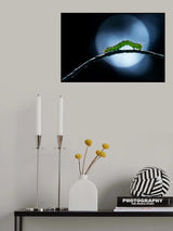 Curving Night Walk Poster och Canvastavla