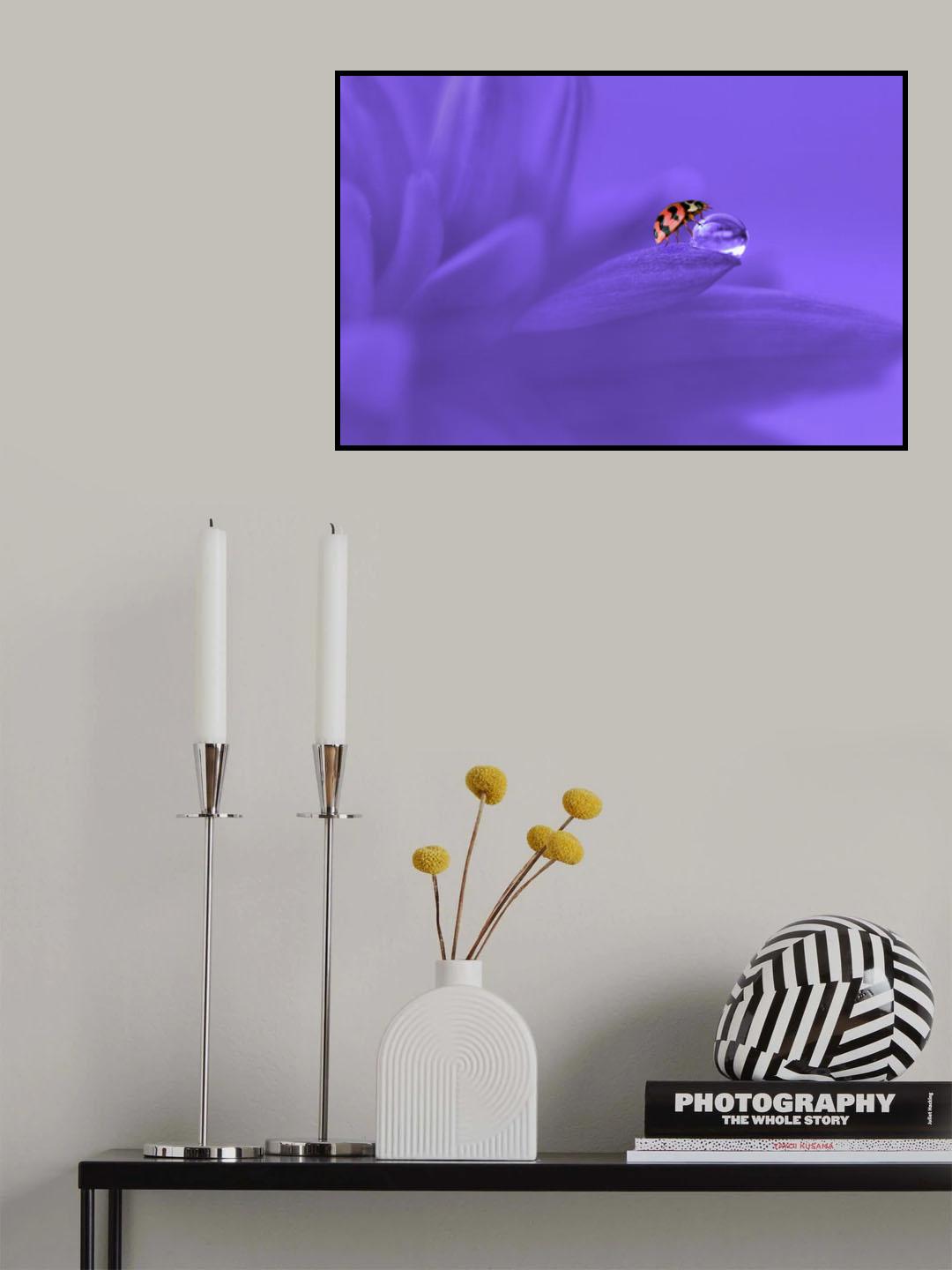 Ladybug Poster och Canvastavla