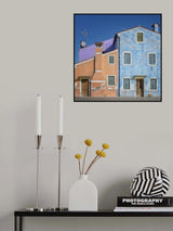 The small house color dog Poster och Canvastavla