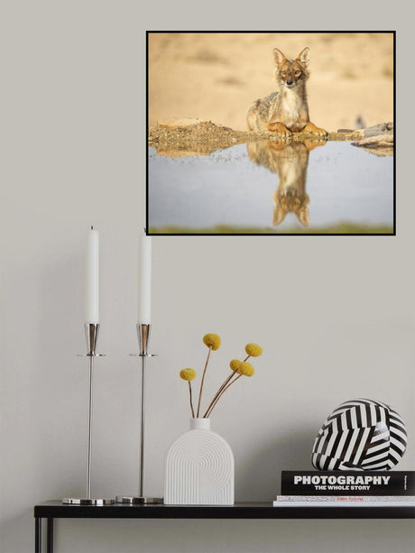 Golden Jackal 2 Poster och Canvastavla