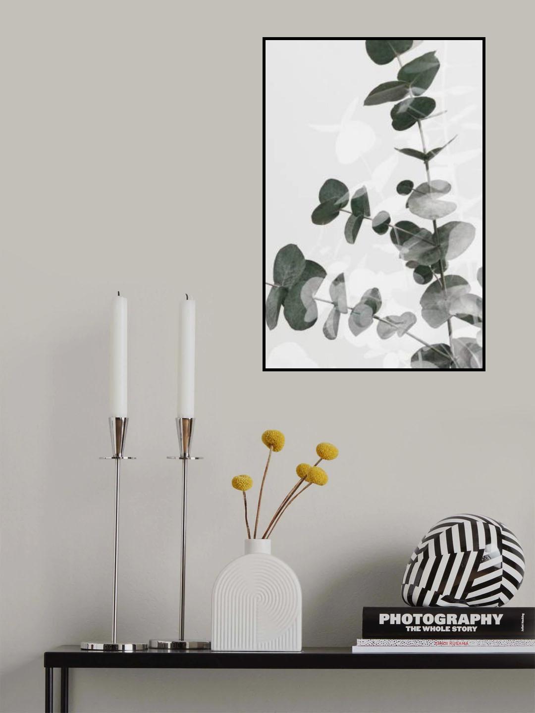 Eucalyptus Creative 04 Poster och Canvastavla
