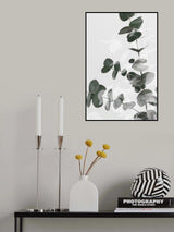 Eucalyptus Creative 04 Poster och Canvastavla
