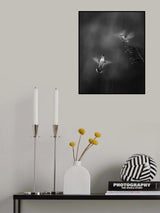 Confession in the Rain Poster och Canvastavla