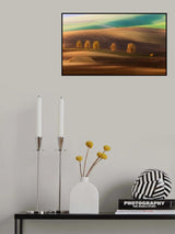 Moravian Trees Poster och Canvastavla