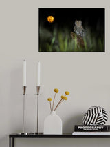 Look at me Poster och Canvastavla