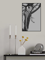 Rest On The Tree Poster och Canvastavla