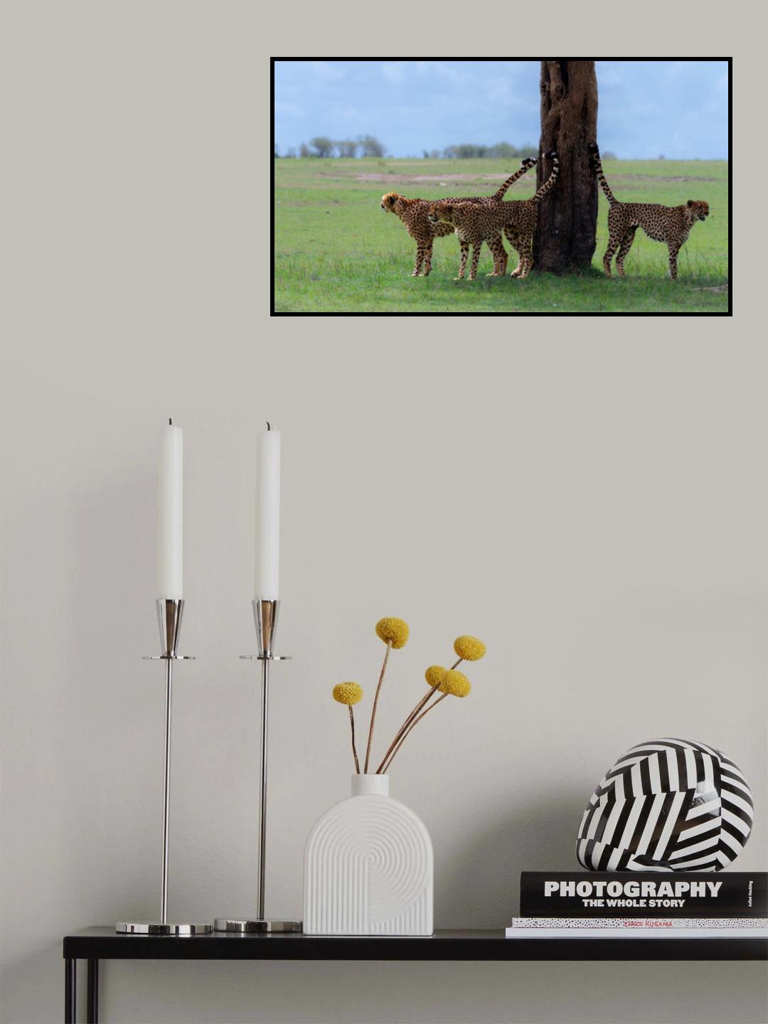 Territorial scope Poster och Canvastavla