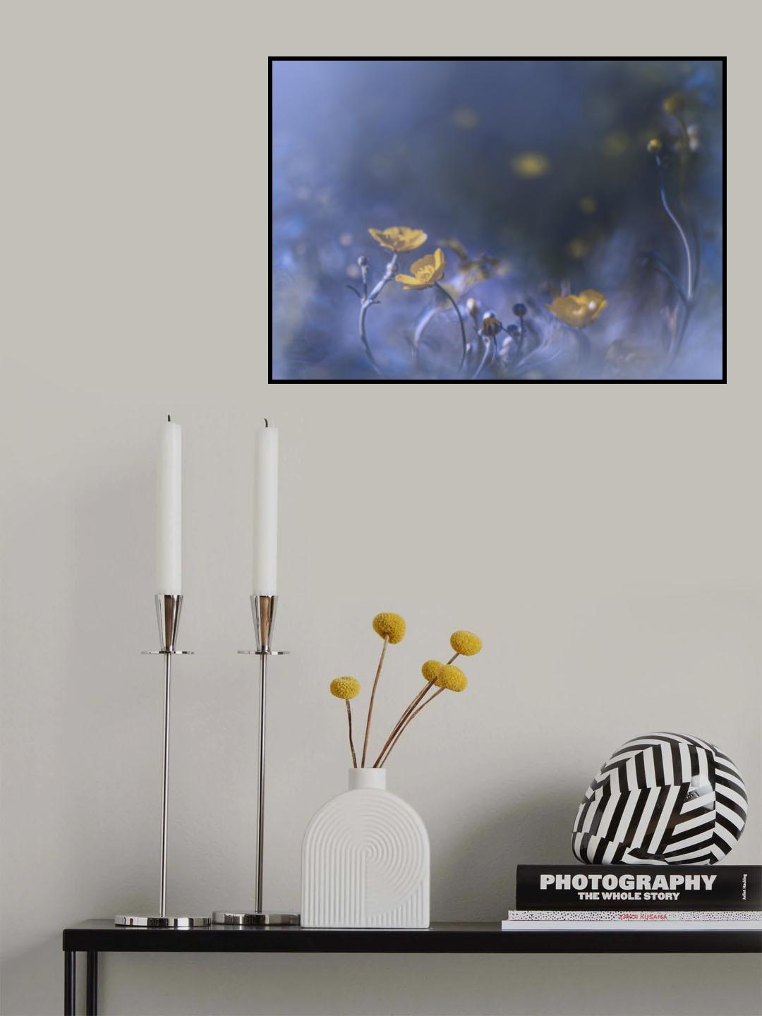 Meadow buttercup Poster och Canvastavla