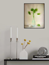 Mirror Grass Poster och Canvastavla