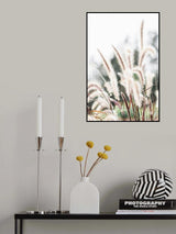 Grass Poster och Canvastavla