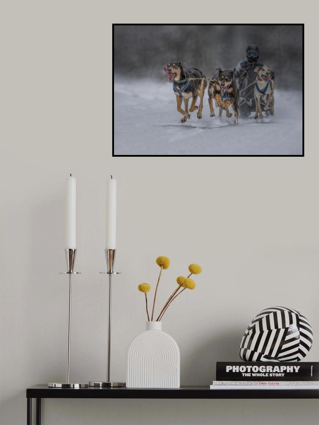Try My Best Poster och Canvastavla