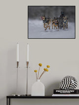 Try My Best Poster och Canvastavla