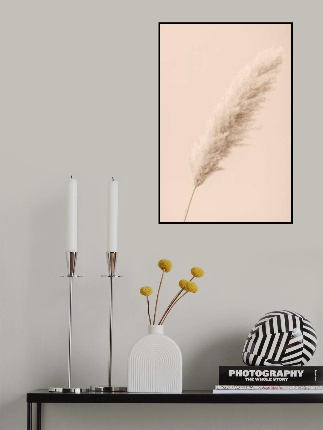 Pampas Grass Begie 14 Poster och Canvastavla