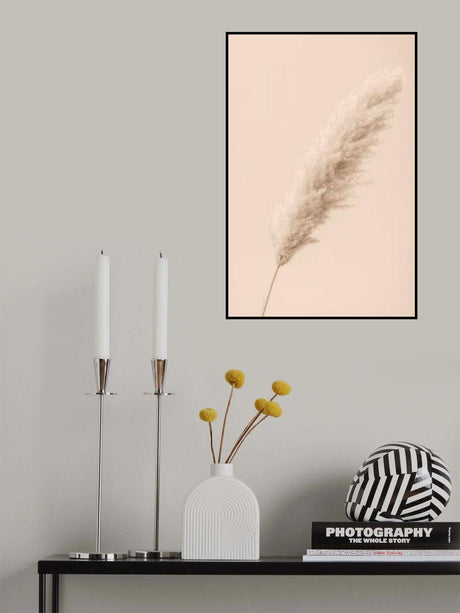 Pampas Grass Begie 14 Poster och Canvastavla