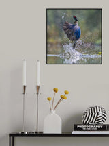 The Winner Poster och Canvastavla