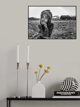 Pretty Poster och Canvastavla