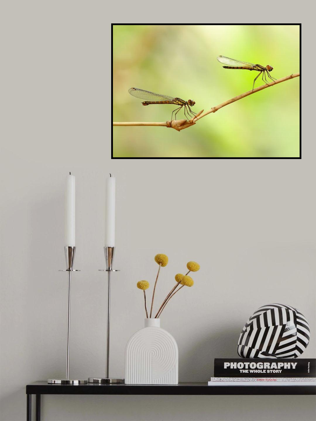 Twin Poster och Canvastavla