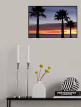 Palms at Sunset Poster och Canvastavla
