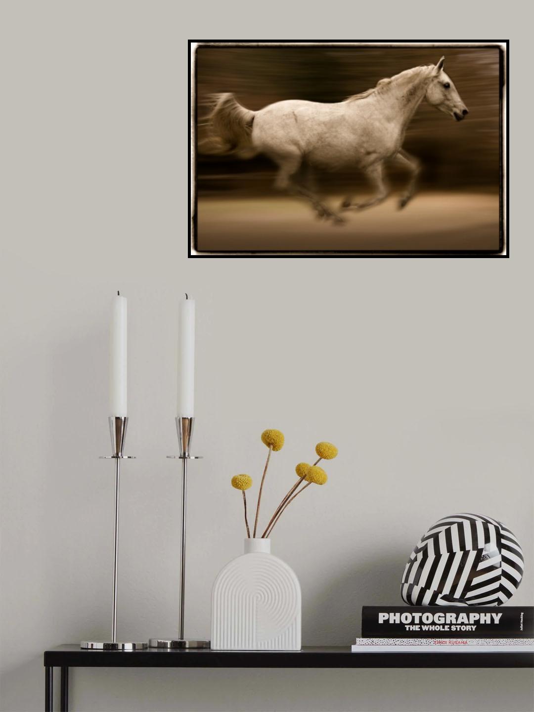 EQUS Poster och Canvastavla