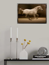 EQUS Poster och Canvastavla